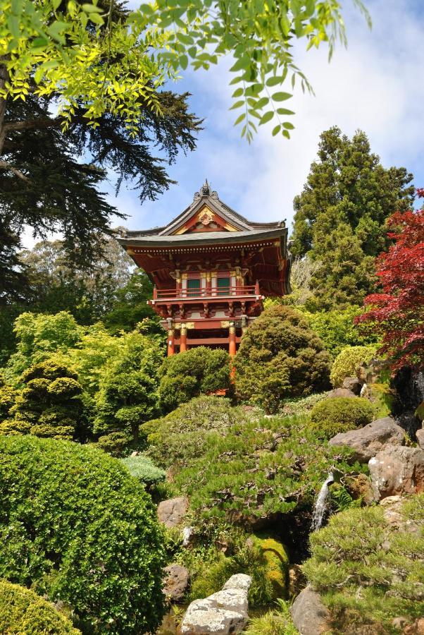 Golden Gate Park Suite San Francisco Exteriör bild